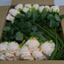 Jexine 50 Pcs Artificial Rose Flower Bulk Realistic Silk Fake Roses with Long Stem Plastic Artificial Flower Bouquet Real Looking for Home Wedding Centerpieces Party Decoration(Beige Champagne)