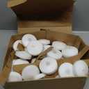 48 Pack White Floating Candles 3 inch Unscented Floating Candles for Centerpieces-10 Hours Long Burn Time-3 Floating Candle Bulk for Wedding Cylinder Vases