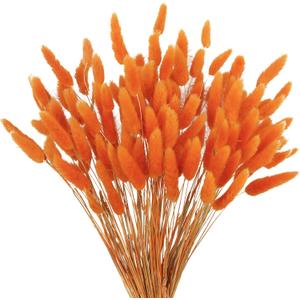 120pcs Dried Rabbit Tail Flowers Orange Tail Dried Flowers Pampas Grass Natural Dried Flower Arrangement Autumn Decoration Wedding DIY Farmhouse Christmas Halloween Family Table Decoration