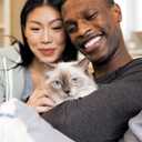 IAMS Proactive Health Adult Healthy Dry Cat Food with Chicken, 3.5 lb. Bag (3.5 Pound (Pack of 1))