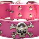 Spiked Leather Dog Collar - 2 Rows Bullet Rivets Studded PU Leather - Cool Skull Pet Accessories for Medium and Large Dogs(Hot Pink,M)