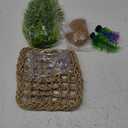 HERCOCCI Crested Gecko Tank Accessories, Reptile Vines and Plants Coconut Shell Hut Hammock for Leopard Gecko Hermit Crab Lizard Play Rest