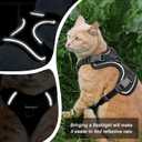 Cat Harness, Cat Harness and Leash for Walking, Adjusted in Four Directions and Breathable Cat Harness for Anti Escape that can be Fitted and Positioned, Reflective Strips Harness, Black, M