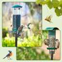 Geelin Pole Adaptor for Bird Feeder Adaptor Mount Protect Bird Food Deterrent Fits Single 1 Inch Pole Feeder Not Included