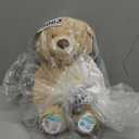 GUND Peek-A-Boo Teddy Bear Plush, Animated Stuffed Animal for Babies and Newborns, 11.5"