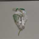 Amazon.com: Hicarer Hello Gorgeous Metal Wall Art Decor Minimalist Decoration Metal Hello Gorgeous Decorative Sign for Living Room Office Bedroom Hotel Home Wall Decoration(Gold) : Home & Kitchen