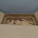 Smart Humidifiers Large Room Bedroom Home,2.11Gal(8L) Quiet Top Fill Cool Mist Humidifier,Smart App & Remote Control, 3 Speed Humidifier with 360Nozzle,Humidity Setting for Baby Office Plant(White)