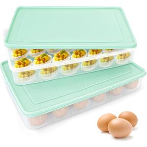 2PCS Deviled Egg Containers with Lid,Portable Storage Carrier Egg Holder,Stackable Plastic Egg Tray Carrier for Kitchen,Fridge,Keep Fresh,Easter(48 Eggs)