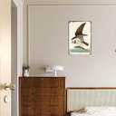 Funny Metal Signs Osprey Fish Hawk Posters Romania Wall Art Retro Bird Tin Sign For Home Room Office Decor 8x12inch