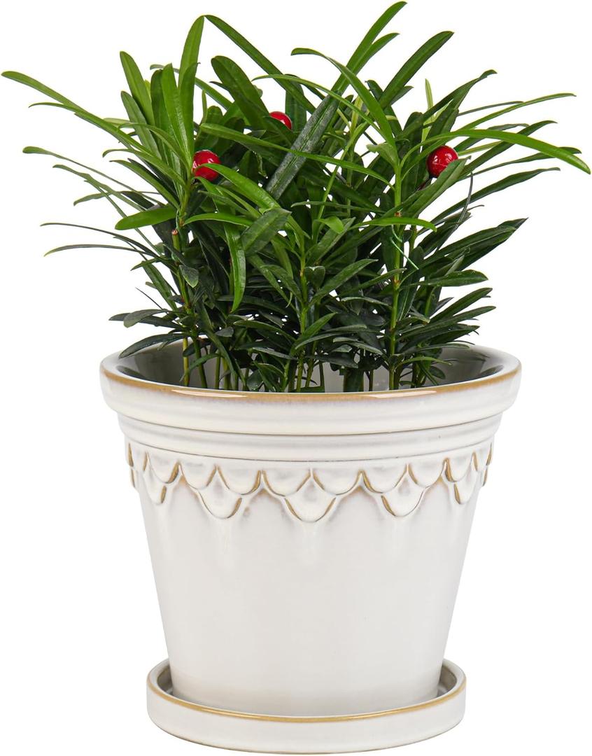 6.3 Inch Ceramic Planter, Plant Pot with Drainage Hole and Saucer, Decorative Glaze Flower Pot for Indoor Plants (White)