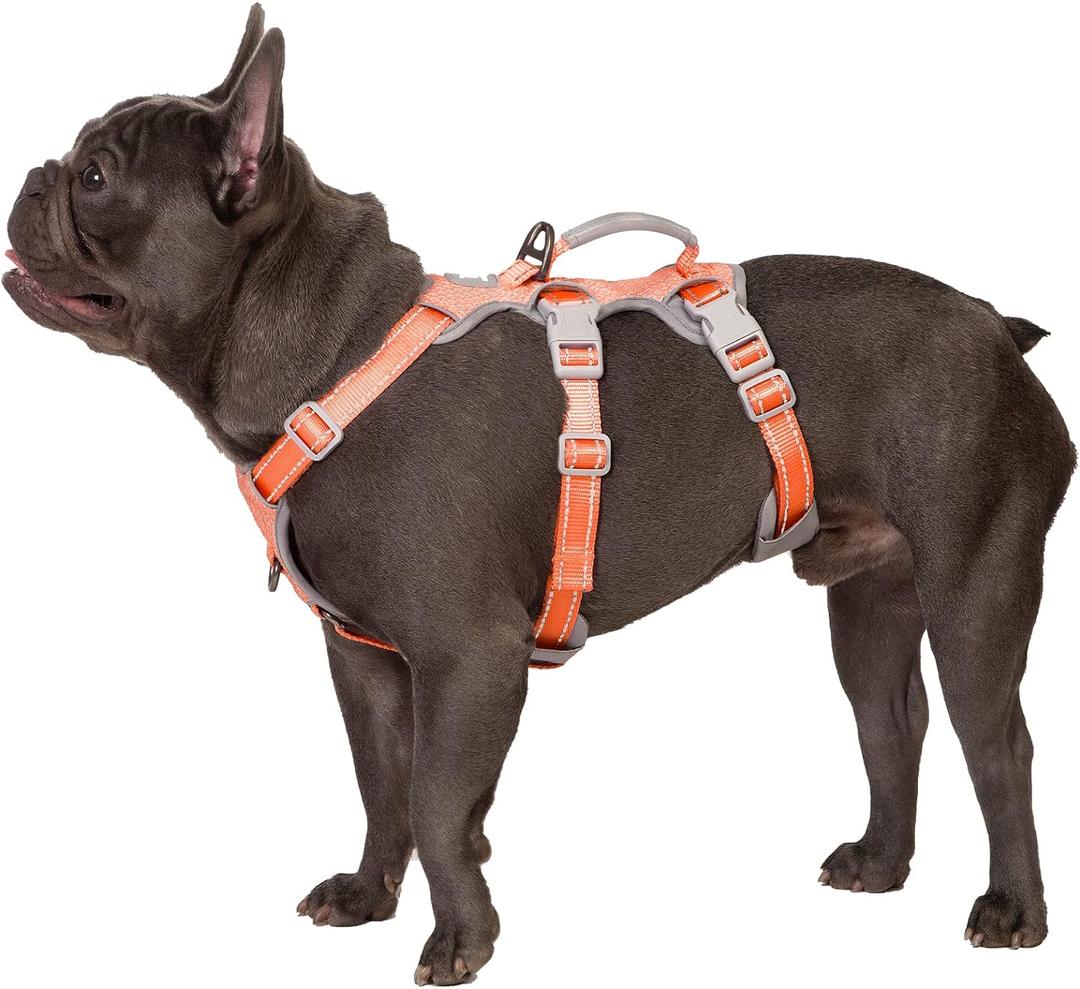 Huntboo Escape Proof Dog Harness, Escape Artist Harness, Fully Reflective Harness with Padded Handle, Breathable, Durable, Adjustable Vest for Small Dogs Walking, Training, and Running Gear (Orange,S) (Small(Pack of 1))