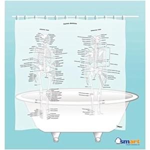 Human Skeleton Shower Curtain - EVA Vinyl, 71" x 71"