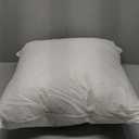 20 x 20 Pillow Insert