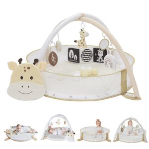 Aila+Aiden 6-in-1 XL Play Mat & Play Gym