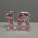 Led Light Up Numbers, Sweet 16th Birthday Party Decorations, Battery Powered Number 16 Light Up Sign, 16th Birthday Decorations for Girls (Pink Glitter)