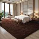 EVOIONOS 5x8 Washable Large Area Rug for Living Room, Fluffy Shag Rug for Bedroom, Ultra Soft Plush Non Slip Carpet for Indoor Floor Bedside Nursery Kids Girls Room Dorm, Home Decor Aesthetic, Coffee