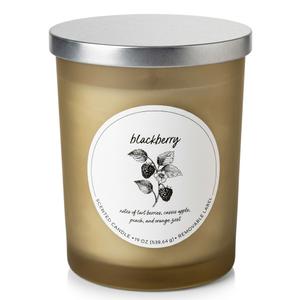 HD Designs Frosted Jar Candle - White Blackberry
