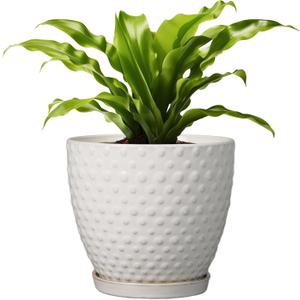 G EPGardening 8 Inch Plant Pot for Indoor Outdoor Plants Round Ceramic Planter Pot with Drainage Hole and Saucer Modern Large Flower Pot White