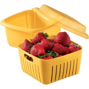 Hutzler Berry Box Size Ea