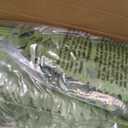 FOREST PRINCE 35" Ferns Artificial Bush Plants Large, 2 Artificial Boston Ferns with 39 Fronds for Outdoors Home Decor