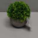 Velener Artificial Boxwood Faux Plant Indoor- Topiary Small Desk Plant Decor for Bedroom Office Cubicle Shelf Decor Window Will Plant Shelf Decoration Dorm Kitchen Counter, Farmhouse Home Decor Accent (Yellow Green)