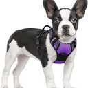 rabbitgoo Dog Harness No Pull with 2 Leash Clips, Adjustable Soft Padded, Reflective Oxford No Choke Pet Vest with Easy Control Handle for Small Dogs, Purple, S