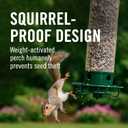 Droll Yankees Squirrel Proof Bird Feeder for Outdoors Rechargeable Weight-Activated Rotating Perch, 5lb Seed Capacity, Metal Base, UV-Stabilized Seed Tube, Hanging Green Yankee Flipper, YF-M