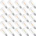 ST38 Replacement LED Light Bulbs, Shatterproof & Waterproof 0.6W ST38 LED Bulbs, Outdoor String Lights, E12 Base Patio Edison LED Light Bulbs, Warm White 2200K Plastic 40LM Non-Dimmable 25 Pack