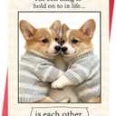 3 x Cute Dog Valentines Day Card for Husband, Wife, Boyfriend or Girlfriend  Romantic Valentines Gift for Him or Her (WY-510)