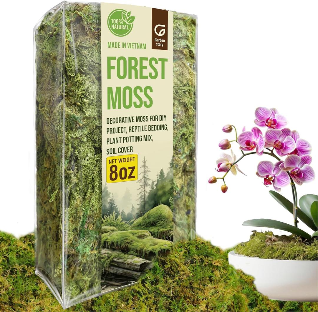 8 Oz Forest Moss for Indoor Plants, Dried Moss for Potted Plants Terrariums, Forest Orchid Moss for Potting Mix, Reptile Bedding, Turtle, Snake Bedding, DIY Projects, Craft Decor