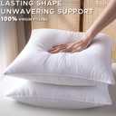 22 x 22 Pillow Inserts Set of 4 Down Alternative Throw Pillow Inserts Large Fluffy Decorative Pillow White Square Pillows Stuffing for Living Room Couch Bed Sofa Interior Cushions