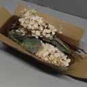 Ttranewsoo Hydrangea Artificial Flowers,Fall Hydrangeas Artificial Flowers, Fake Fall Dried Hydrangea Decoration,Faux Silk Flower with Stems Winter Decor Without VaseCream White 8PCS