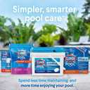 Clorox Pool&Spa Swimming Pool Sink to Clear Flocculant, Sinks Debris, Dead Algae, Large Particles & Other Matters to Pool Floor, 1 Quart (Pack of 1)