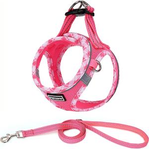 Mercano Soft Mesh Dog Harness and Leash Set, No-Chock Step-in Reflective Breathable Lightweight Easy Walk Vest Harnesses with Safety Buckle for Small Dogs, Cats (S, Fuchsia) (S (Chest: 13.5"-15.5"))