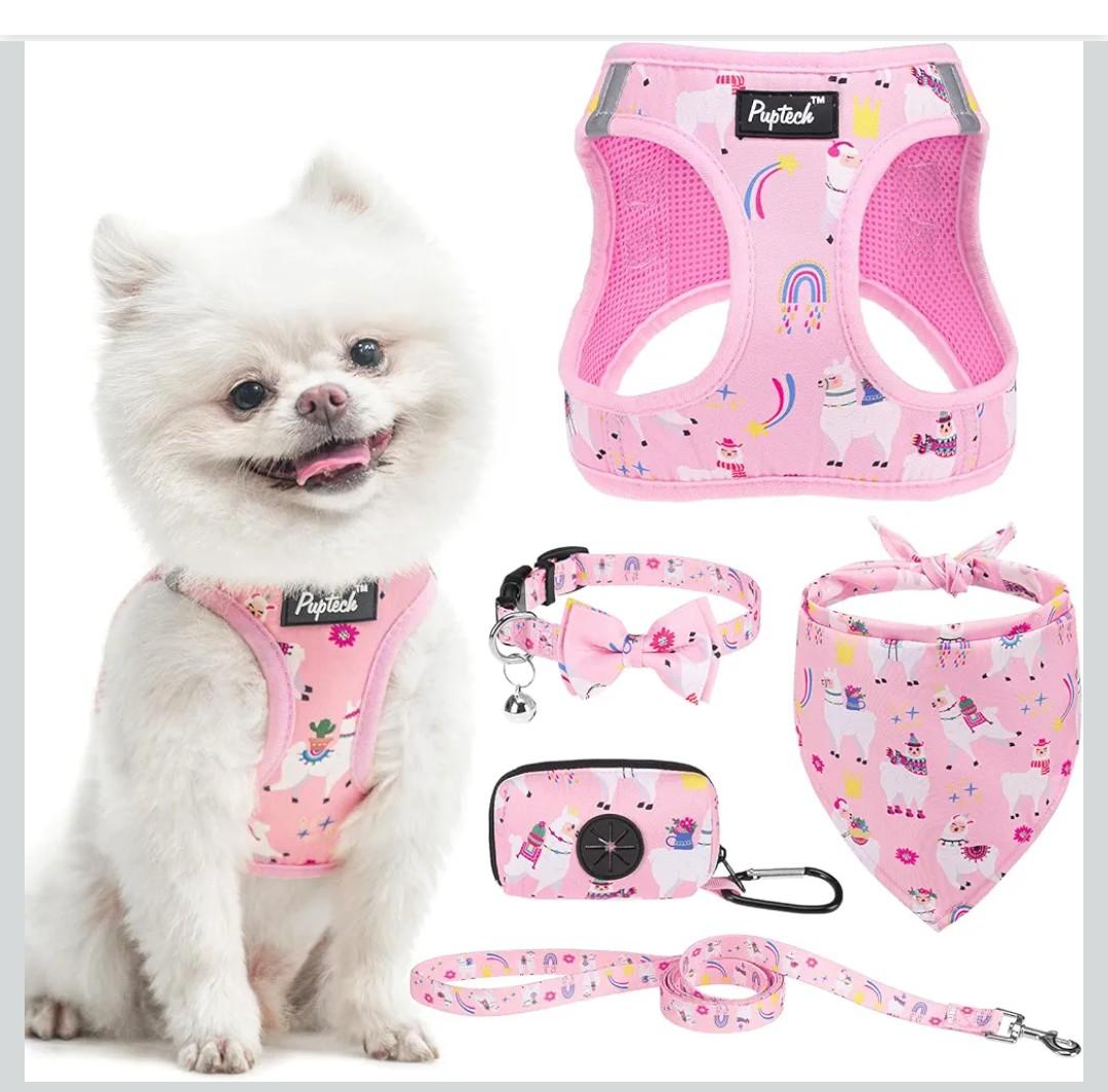 PUPTECK Adjustable Dog Harness Collar and Leash Set, Step in No Pull Pet Harness for Small Medium Dogs Puppy Cats Outdoor Walking, Soft Mesh Padded Reflective Vest Harnesses, Light Pink Alpaca, XS