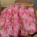 10PCS 59FT Artificial Silk Cherry Blossom Garland, Hanging Sakura Flower Vines for Wedding Party Home Arch Office Sakura Decor (Pink)