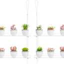 2-Pack Clear Hanging Window Plant Shelves, 2-Tier Indoor Wall Plant Stand Flower Display Organizer Storage for Microgreens,Succulents,Flower,16-Inch