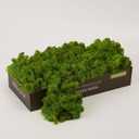 Preserved Reindeer Craft Moss Natural Green DIY Kit Gardenning Art Wall Decor Florist Easter Table Decor Wedding Decor (0.85lb)(Green-03)
