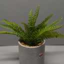 DuHouse Artificial Fern Potted Plant, Fake Greenery Plants in Pot, Fake Plant for Home Office Desk Shelf Bathroom Kitchen Farmhouse Tabletop Decoration(Sage Green)
