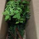 Suncalla 3 Pcs Artificial Greenery Stems 40 Inches Tall Faux Nandina Branches Fake Greenery Plants Bamboo Leaves Stems for Vase Wedding Living Room Bedroom Home Office Shop Kitchen Garden Decor