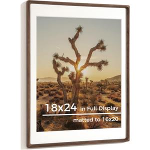 RICHFOCUS 18x24 Picture Frame USA-Sourced Natural Walnut Solid Wood Photo Frame Handcrafted Rounded Corner Wooden Frame with Real Glass Display Photos 16x20 with Mat or 18x24 Without Mat