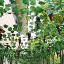 5Pcs 36 Leaves Artificial Greenery Garlands Hanging Leaves with 5 Strings 36 Purple Grapes for Faux Grape Leaf Garland Vine Plants for Indoor Outdoor Wedding Garden Home Party Wine Rack Decor