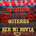 Quieres Ser Mi Novia Light Up Letters Proposal Decorations, 17Pcs 6.3" Letter Signs, 24Pcs Flameless Candles 2000Pcs Red Artificial Rose Petals 45Pcs Latex Balloons 10Pcs Heart Balloon Valentine's Day