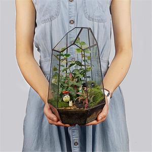 Geometric Glass Terrarium for Indoor Plants,Irregular Clear Planter,Black Opened Container Pot for Cacti,Succulents and Moss,Home Garden Office Tabletop Decor,6.5x5.7x9.8'' No Door