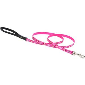 LupinePet Originals 1/2" Puppy Love 6-foot Padded Handle Leash for Small Pets