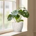 MPotTo Ceramic Planter 8 Inch Plant Pot with Drainage Hole and Saucer Ceramic Pots for Indoor Plants Outdoor Large Flower Pot for Home Decor White