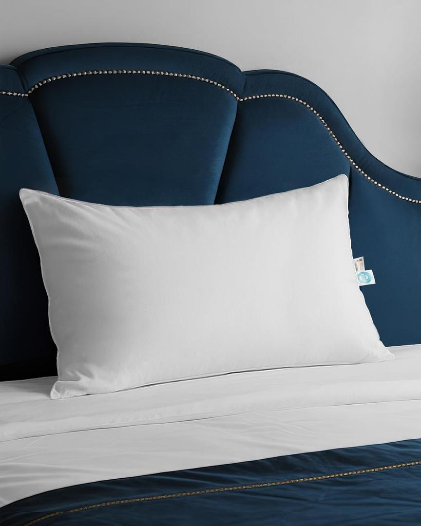 Goose Down Pillow for Sleeping, Hotel Quality 750 Fill Power Queen Size Pillow with Pillowcase - Bed Pillow for Master Bedroom, Support for Back, Side, Stomach Sleepers, 1 Pack, 20x30 Inch