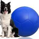 Herding Ball for Dogs (X Large)