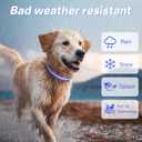 PcEoTllar Light Up Dog Collars, Led Dog Collar, Rechargeable, Night Walking, Waterproof, Glow in The Dark Dog Collars Light for Large Small Medium Dogs, Blue m (M(15 inch-19.7 inch))