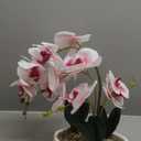 19" H Phalaenopsis Faux Orchid Plant Silk Orchid Centerpiece Artificial Floral Arrangement in Ceramic Pot (White and Pink)